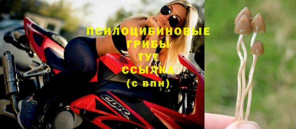 амф Струнино