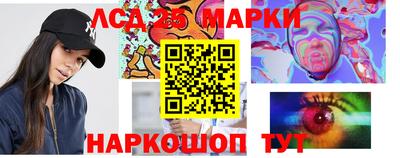 гидропоника Донской