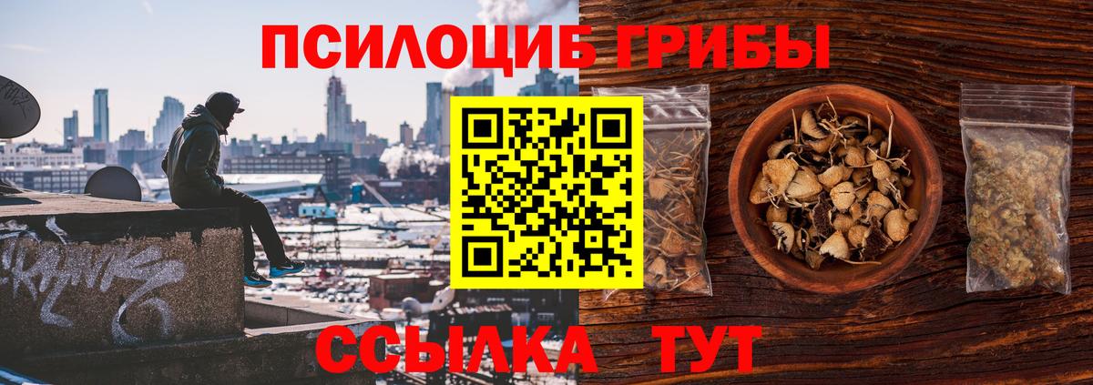 Псилоцибиновые грибы MAGIC MUSHROOMS Углич