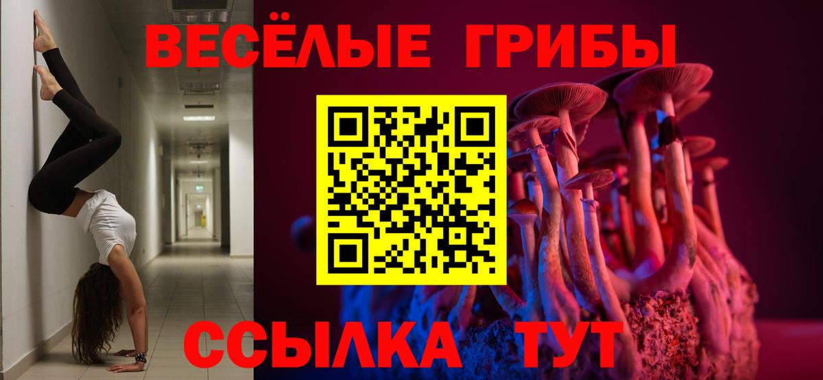 Углич  дарнет шоп  Галлюциногенные грибы Cubensis  Вход с VPN  Галлюциногенные грибы Psilocybine cubensis 